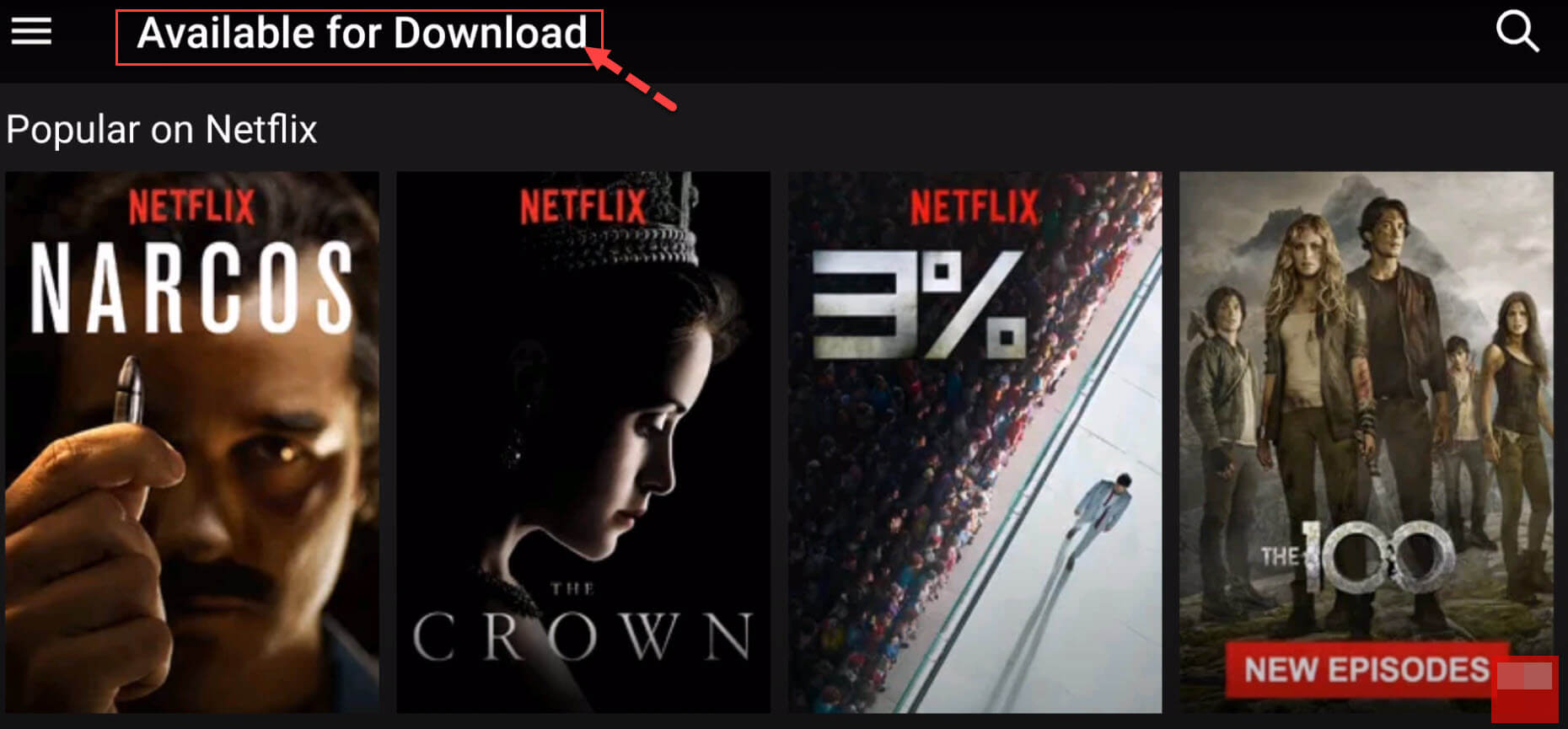view all available downloading Netflix videos