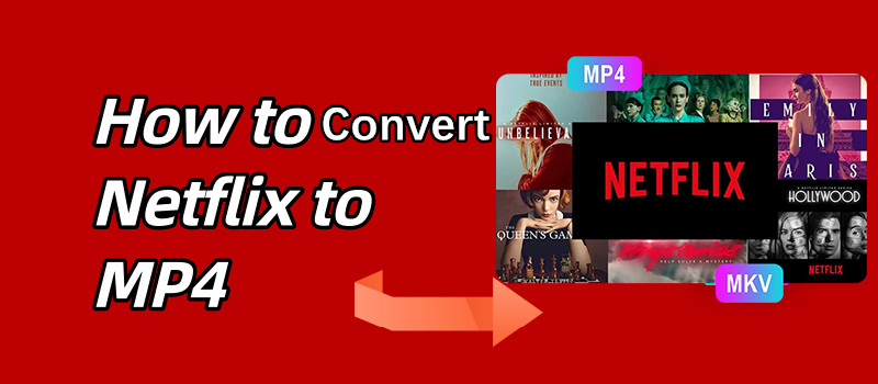 Convert Netflix to MP4