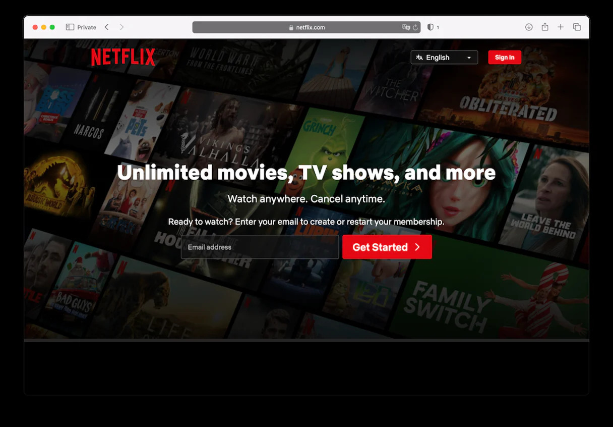 sign in with your Netflix account